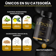 Lionzen Empower