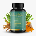 Lionzen Motion